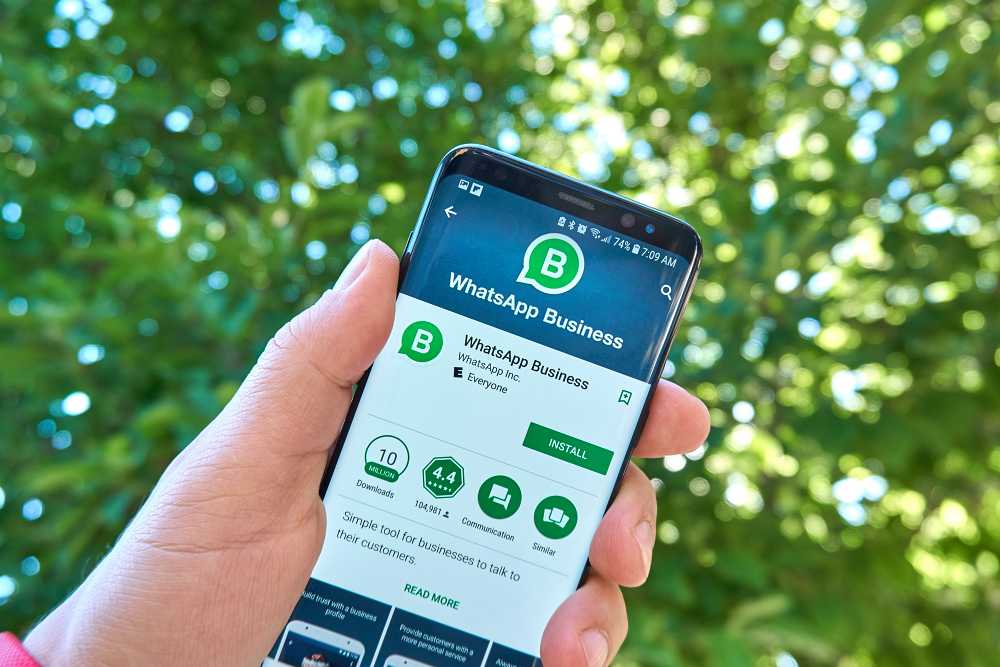 Ecco come sfruttare le potenzialità di WhatsApp Business per la tua start-up