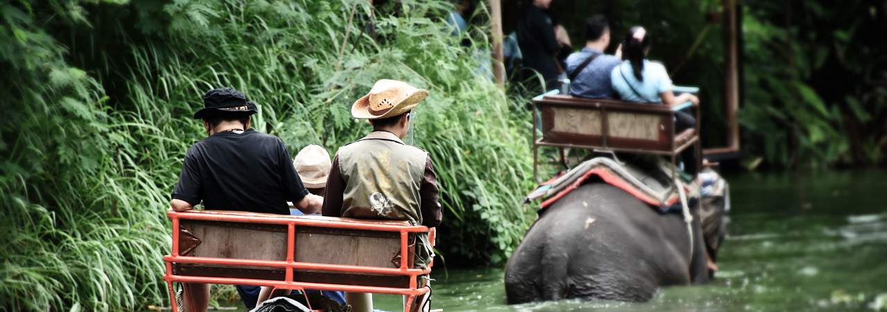 Agenzia di turismo esperienziale: scopri come avviare il tuo business