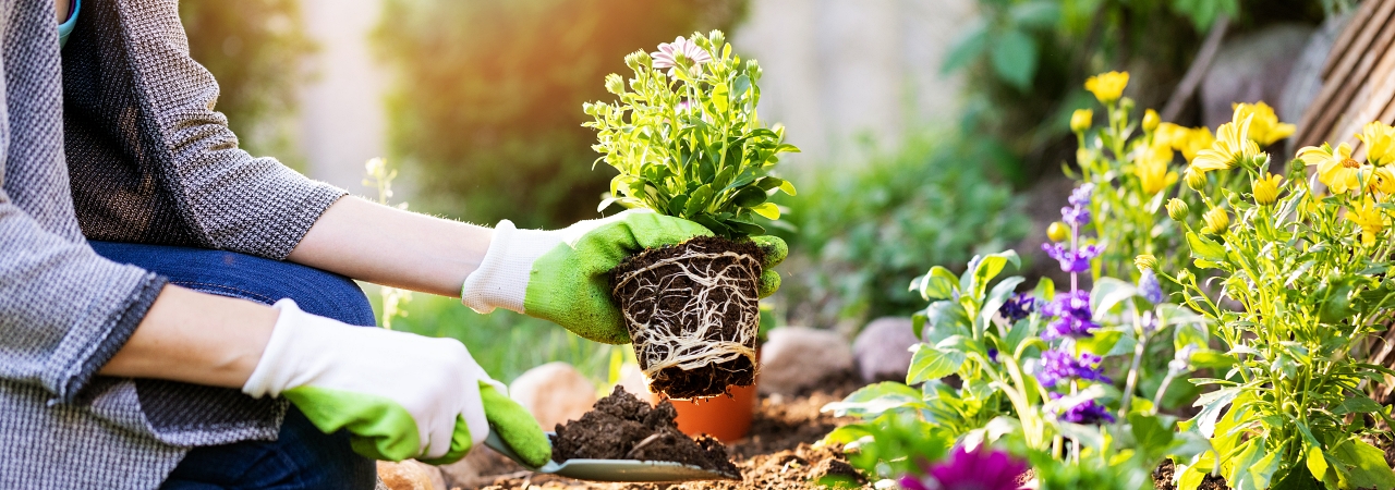 Negozio giardinaggio: costi, requisiti e consigli per avviare l’attività