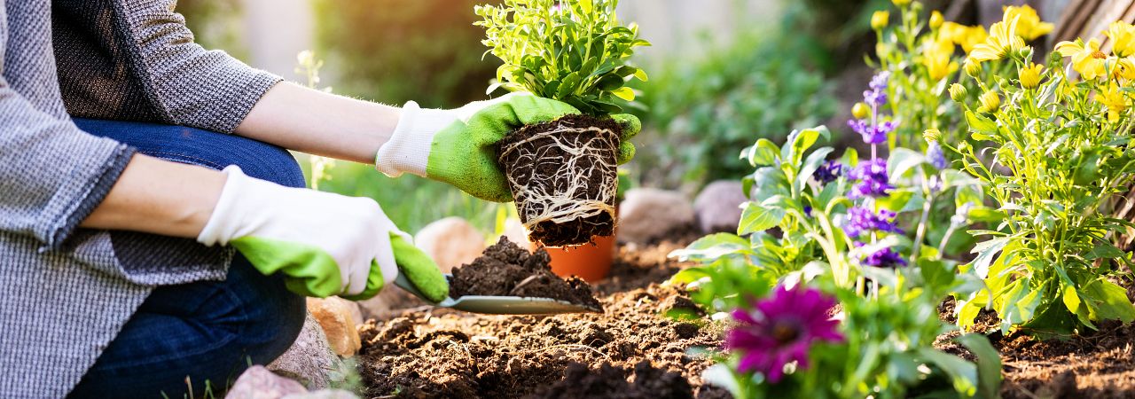 Negozio giardinaggio: costi, requisiti e consigli per avviare l’attività